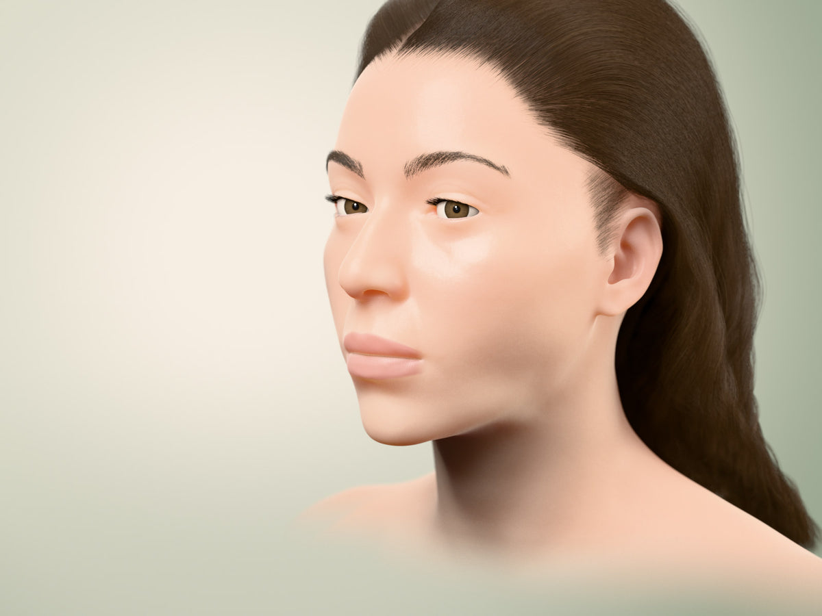 3D illustration of a woman's face in three-quarter view, showing the jawline