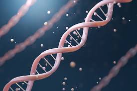 Polynucleotide(Face, eyes, neck and hair) - MY TIMELESS